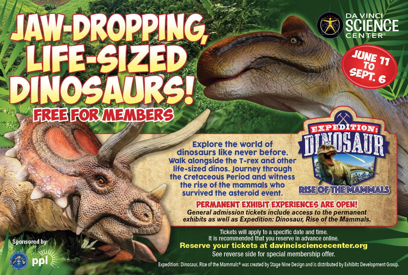 1273_DSC_Dino_Pstcrd-1